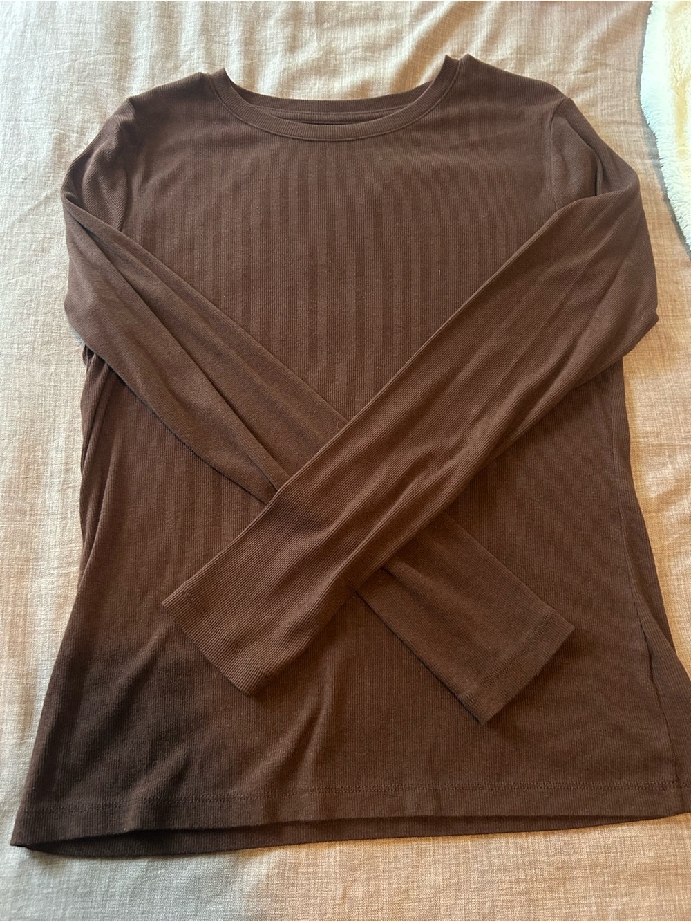 Basic Long Sleeve Ribbed Crewneck Top - Chocolate Brown